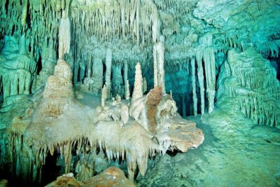 Cenotes 2-Tank Dive in Playa del Carmen/for certified divers only - Getting to the scuba day: Scuba Libre, 8:30 start, and a jungle drive
