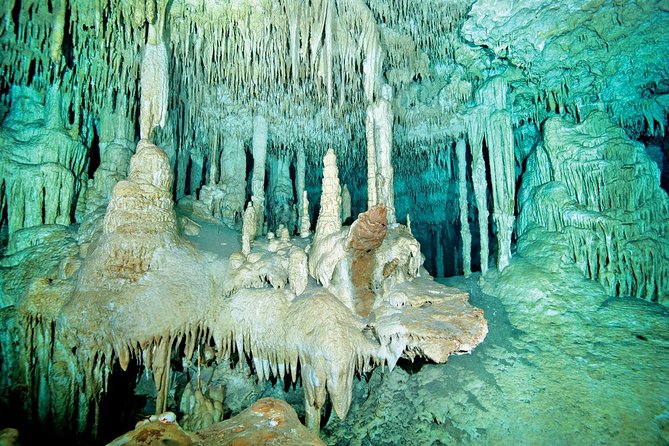 Cenotes 2-Tank Dive in Playa del Carmen/for certified divers only - Getting to the scuba day: Scuba Libre, 8:30 start, and a jungle drive