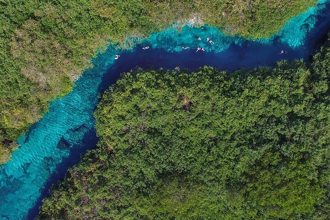 Cenotes diving - Ponderosa (Jardin del Eden): a freshwater pool with wildlife vibes