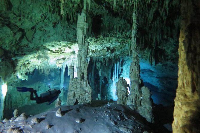 Cenotes diving Dos Ojos and The Bat Cave - What You’ll Do After Pickup: Gear, Briefing, and Built-In Breaks