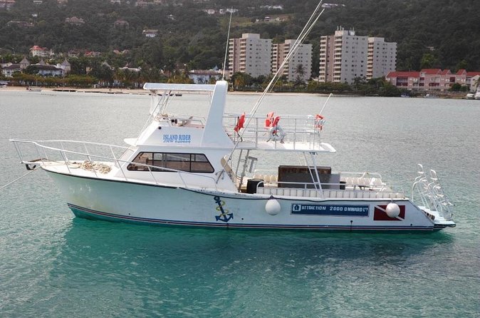 Certified 2-Tank Scuba Diving Tour from Montego Bay - Meeting point near Doctor’s Cave Beach and the morning flow