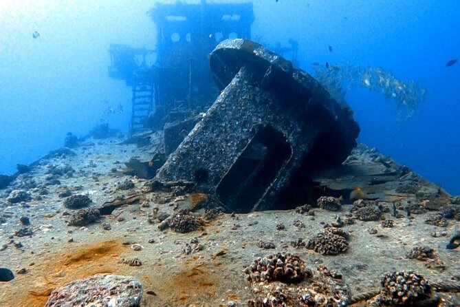 Certified Diver: 2-Tank Deep Wreck and Shallow Reef Dive Off Oahu - Wreck Stop at the Sea Tiger: What You’ll Actually See