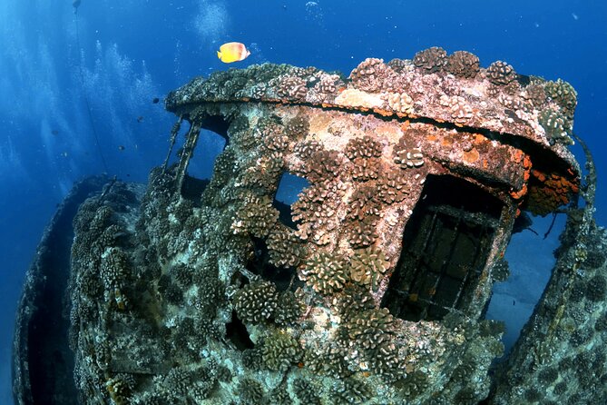 Certified Diver: 2-Tank Deep Wreck and Shallow Reef Dive Off Oahu - Who This Tour Suits Best