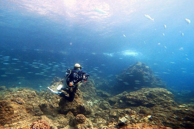 Certified Divers! Scuba dive the Ka'anapali Coast and more! - Shore Entry and the 50-Lb Rule (Don’t Skip This)