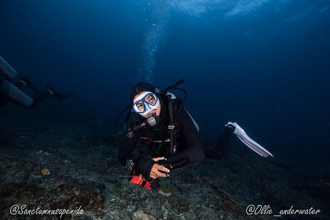 Certified Scuba Dive with Manta Rays (Open Water Diver minimum) - What’s included on the boat: gear, mask, lunch, hot drinks, snacks, and fruit