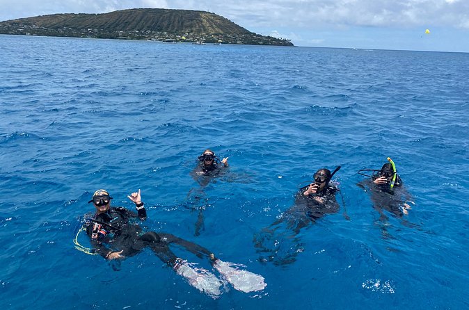 Certified Scuba Diving Along Two Shallow Reef Sites - Who This Is Best For (And Who Might Want a Different Plan)