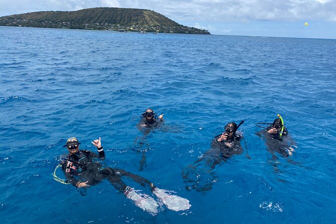 Certified Scuba Diving Experience in Honolulu - Who This Experience Fits Best (and Who Should Skip It)