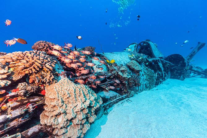 Certified Scuba Diving Experience in Honolulu - Weather and Schedule Reality on Oahu