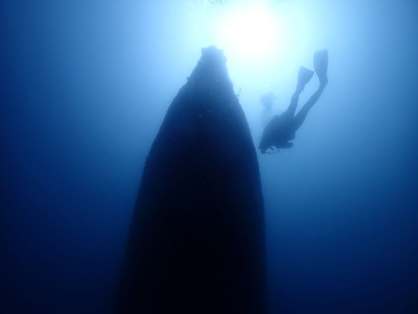 Cesme: Scuba Diving Experience - The briefing you’ll want before you enter the water