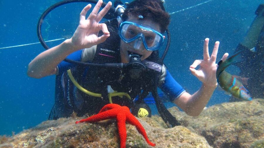 Cesme: Scuba Diving Experience - Underwater time in the Aegean: what you should look for