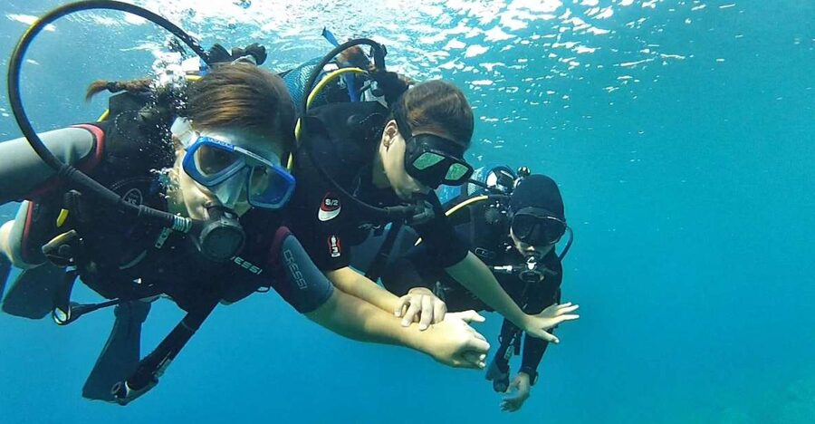 Chalkidiki: Scuba Diving for Beginners in Kassandra - The equipment: included, sanitized, and beginner-minded