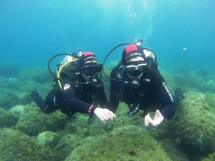 Chalkidiki: Scuba Diving for Beginners in Kassandra - Price check: is $92 good value in Chalkidiki?