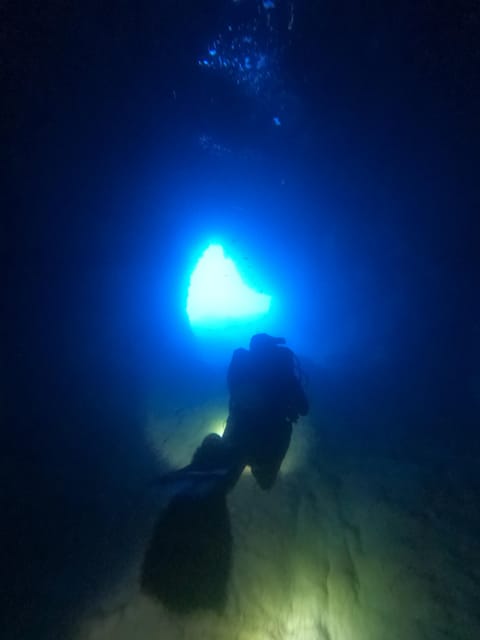 Chania: 2 Boat Dives for Certified Divers - Two guided boat sessions in Chania: what you’re really buying