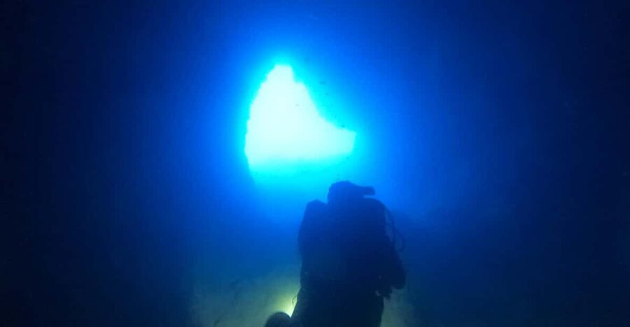 Chania: 2 Boat Dives for Certified Divers - The 4-hour flow: pickup, briefing, two separate sessions, and logs