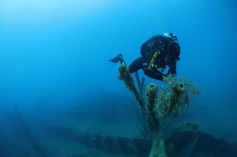 Chania: 2 Boat Dives for Certified Divers - What the “small group” setup does for you underwater