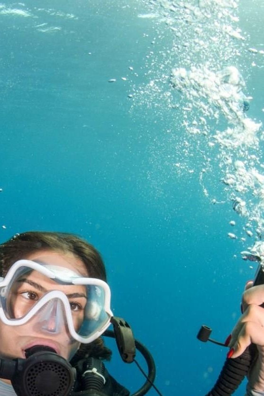 Chania: 2 Boat Dives for Certified Divers - Gear, insurance, and the peace-of-mind factor