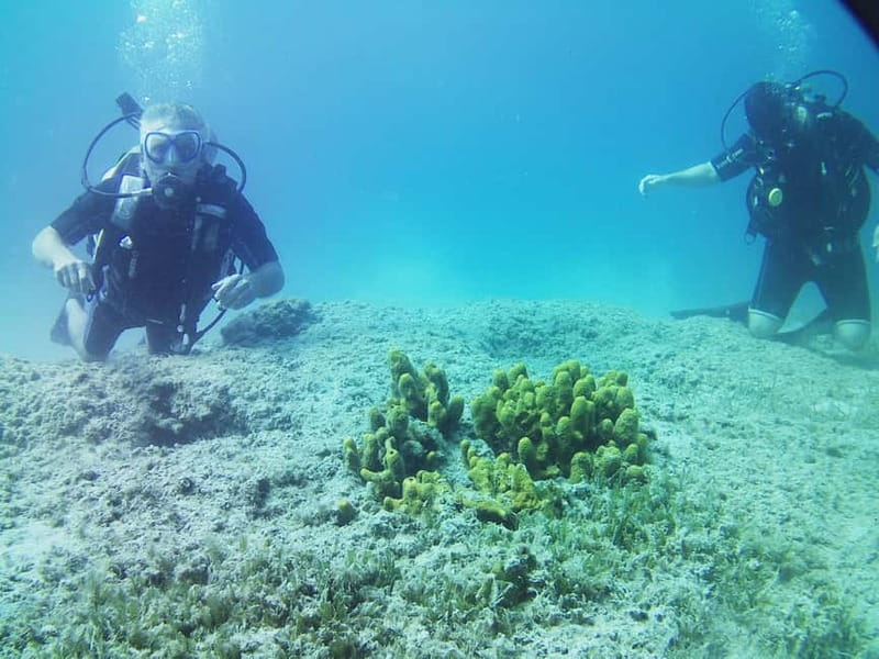 Chania: Scuba Diving and Snorkeling for Beginners by Boat - Macherida Beach: your guided scuba session with a 9–10 meter max