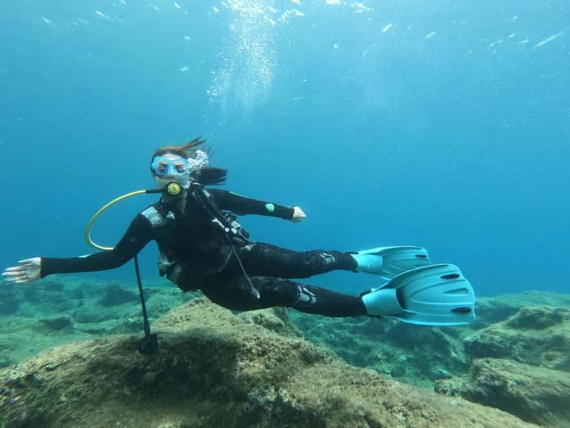 Chania: Scuba Diving and Snorkeling for Beginners by Boat - Who this tour suits best (and who should skip it)