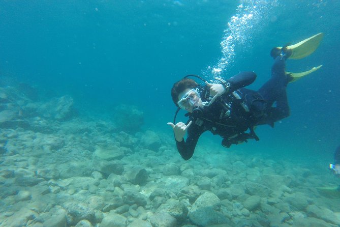 Chania: Scuba Diving for Beginners - The 8-Meter Underwater Experience: What You’ll See and Feel