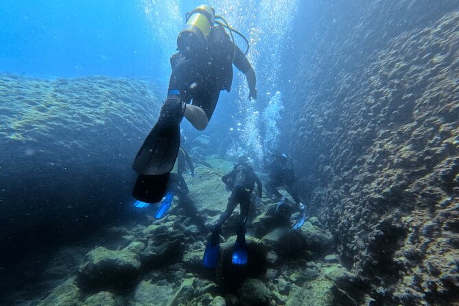 Chania Scuba Diving | Shore Dives | Certified Divers - Key highlights from Kefi Divers’ shore sessions