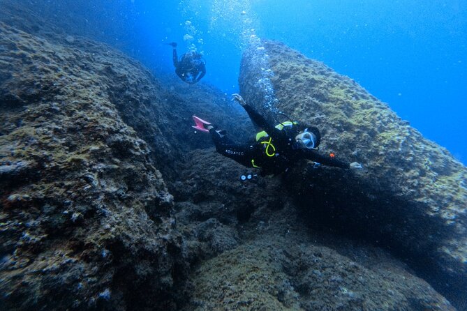 Chania Scuba Diving | Shore Dives | Certified Divers - What you’ll see: glass fish, barracuda, octopus, and more