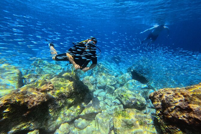 Chania Scuba Diving | Shore Dives | Certified Divers - Price and value: what $144.49 covers on the ground