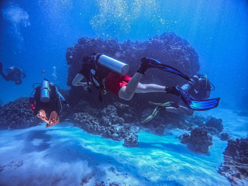 Chania:Try Scuba Diving 2shore dives(Receive Certification) - Key points I’d bet on