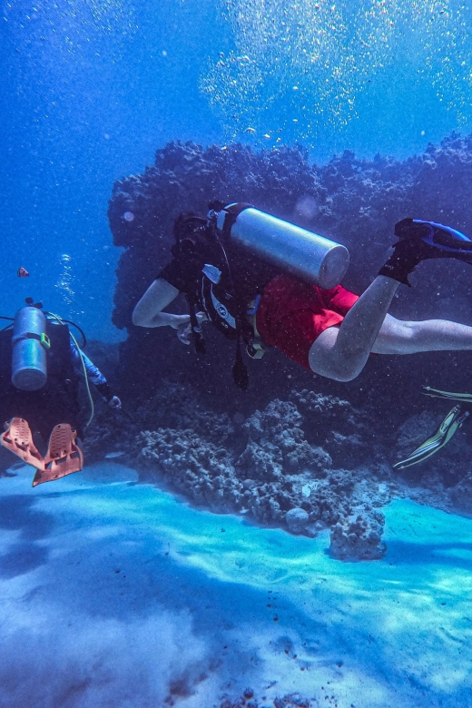Chania:Try Scuba Diving 2shore dives(Receive Certification) - The gear part: you don’t get left guessing