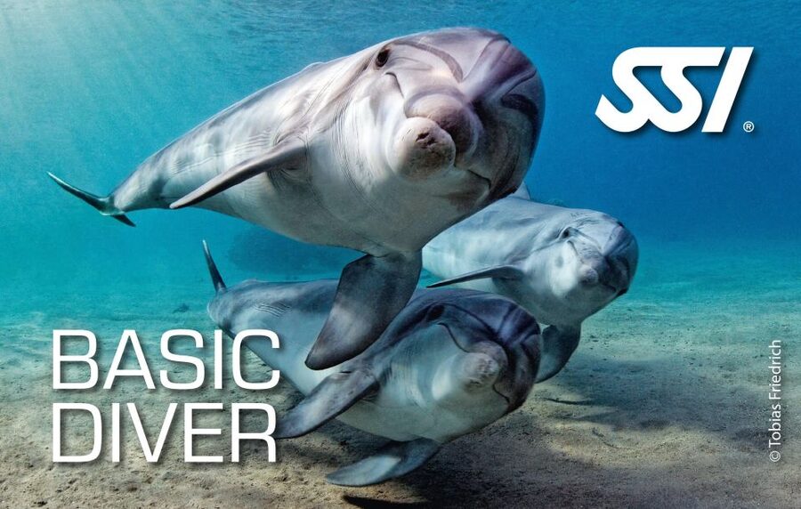 Chania:Try Scuba Diving 2shore dives(Receive Certification) - Who this suits best (and who should skip it)