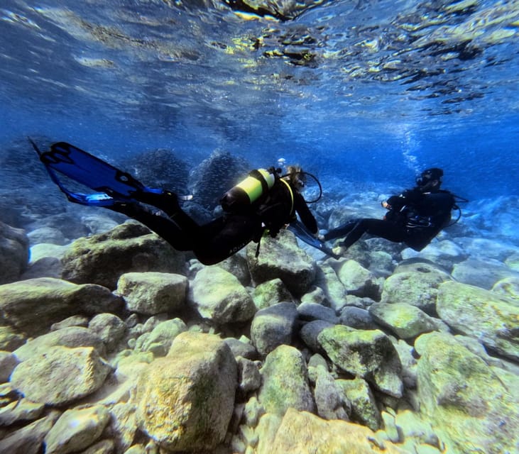 Chania: Try Scuba Diving / Discover Scuba Diving - Almyrida is a smart place for a first underwater experience