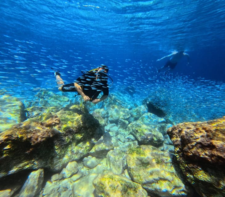 Chania: Try Scuba Diving / Discover Scuba Diving - The protected marine nursery: what you might actually see