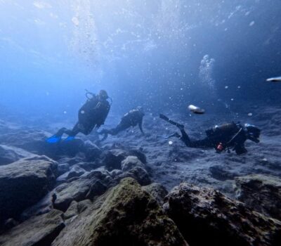 Chania: Try Scuba Diving / Discover Scuba Diving - The 4-hour flow: gear, briefing, skills, then your first time in the water