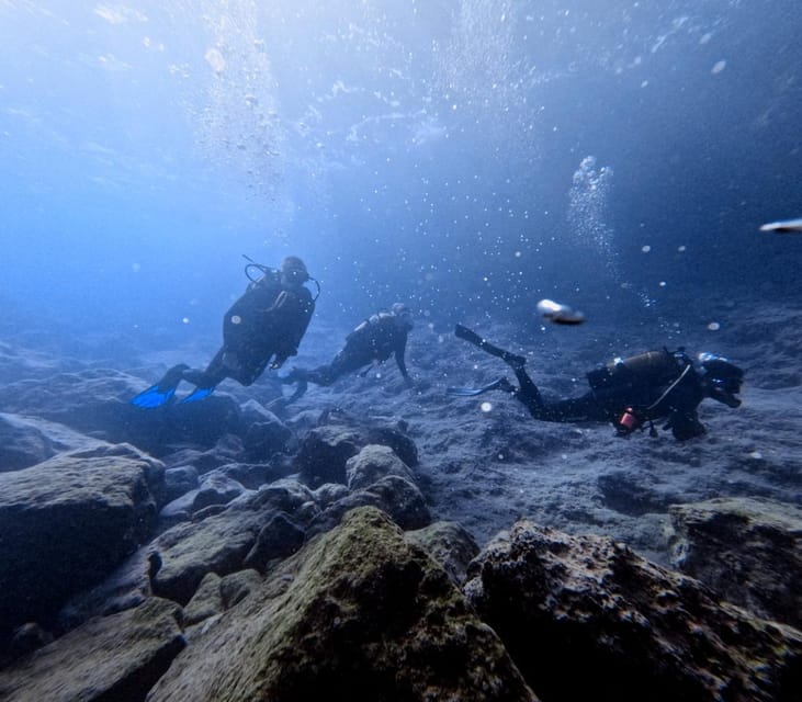 Chania: Try Scuba Diving / Discover Scuba Diving - The 4-hour flow: gear, briefing, skills, then your first time in the water