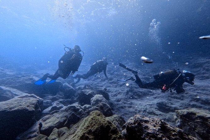Chania | Try Scuba Diving | Introduction Dive - Key highlights to know before you go