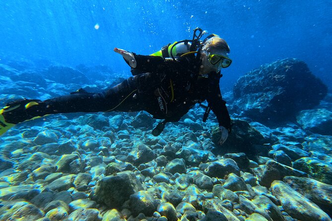 Chania | Try Scuba Diving | Introduction Dive - The sheltered underwater nursery in Almyrida