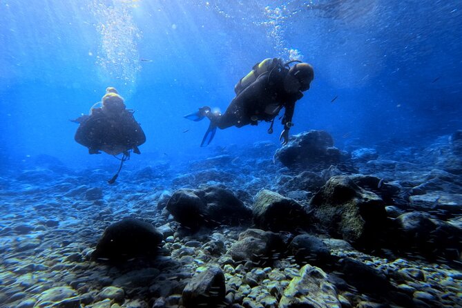 Chania | Try Scuba Diving | Introduction Dive - Underwater photos and videos you can actually keep