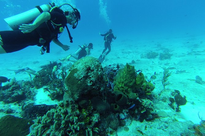 Chankanaab Cozumel Scuba Diving - Key highlights I’d circle on your map