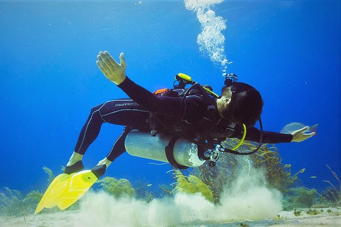 Chankanaab Cozumel Scuba Diving - Why Chankanaab’s reef-and-cave setup is perfect for a first scuba day