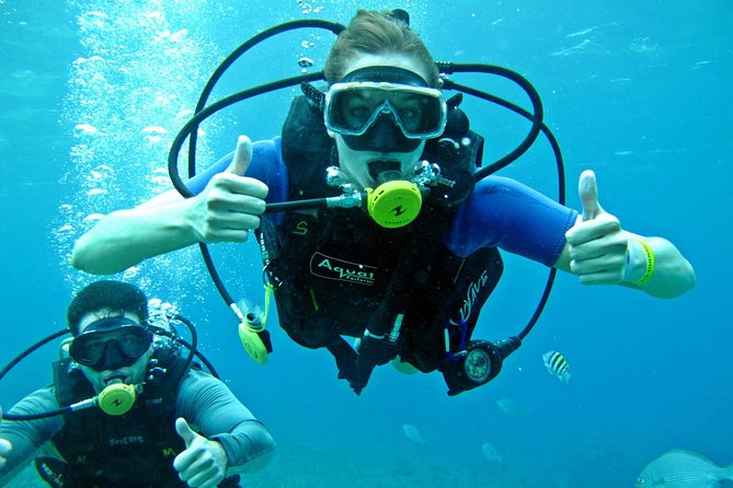 Chankanaab Cozumel Scuba Diving - What happens during your 2-hour experience: gear help, training, then reef time