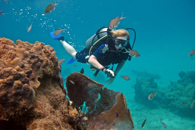 Chankanaab Cozumel Scuba Diving - Price and value: what’s included, what’s not, and how to think about it