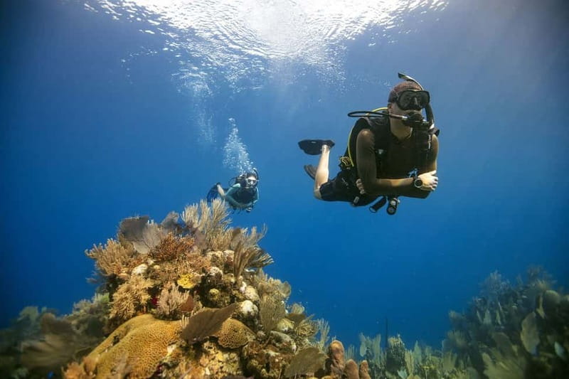 City of Side: Scuba Diving Underwater Museum with Pickup - Two 20-minute underwater sessions around Side (and why sites vary)