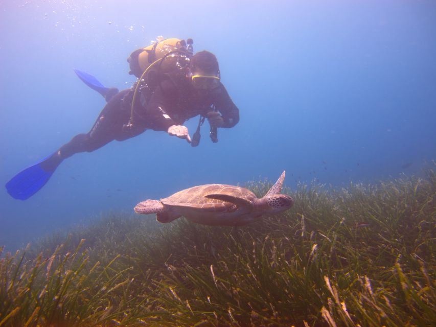 City of Side: Underwater Museum Scuba Diving Visit - Side’s Underwater Museum: What You’re Really Exploring