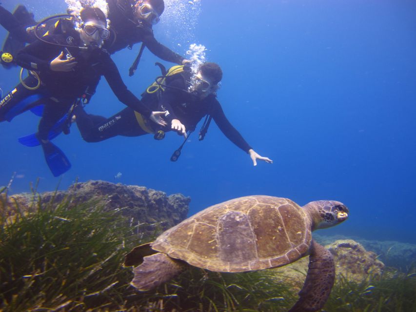 City of Side: Underwater Museum Scuba Diving Visit - Two 20-Minute Underwater Sessions at 5–6 Meters