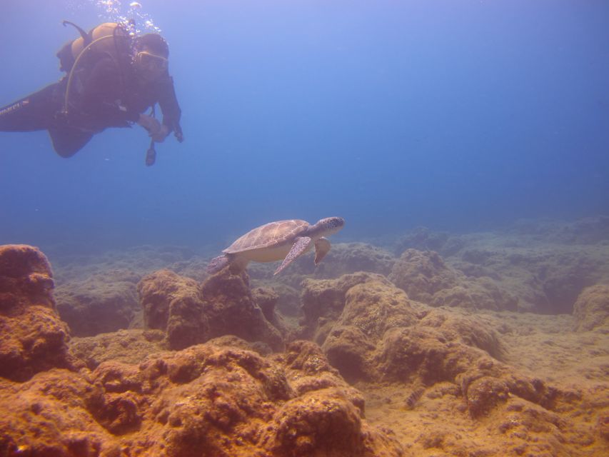 City of Side: Underwater Museum Scuba Diving Visit - Lunch on the Boat: Views Are Free, Drinks Aren’t