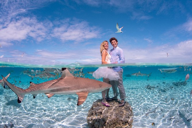 Combo Diving and Snorkeling Full Day Tour - Morning scuba: two-tank underwater time, tailored to you