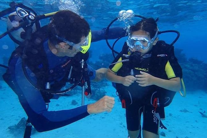 Combo Diving and Snorkeling Half-Day Tour - Key things that make this tour a standout value