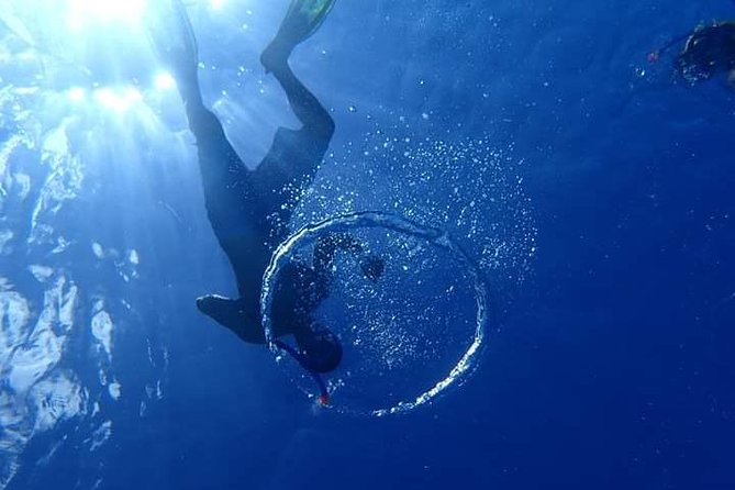 Combo Diving and Snorkeling Half-Day Tour - Price and value: is $950 per group “worth it”?