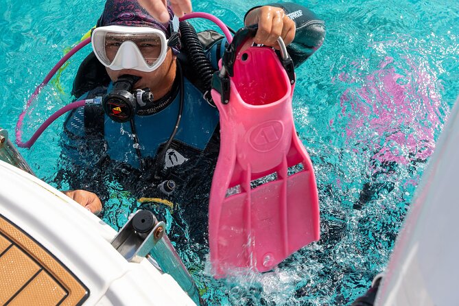Concierge Two Tank Boat Dive in Bonaire (4 Divers) - Your day on Bonaire starts with an easy 8:30 am plan