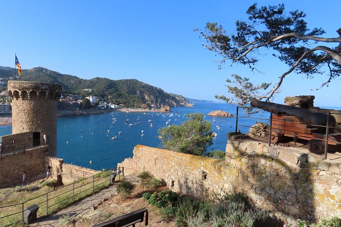 Costa Brava: Scuba Diving Tour, Lunch and a Visit to Tossa de Mar - Price and Logistics: Does $210.26 Feel Worth It?