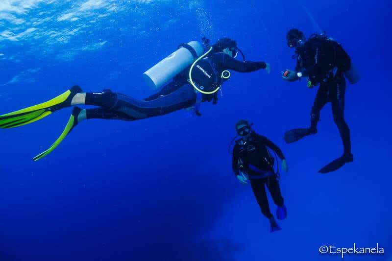 Costa Maya: Discover Scuba Diving Reef Experience - The meet-up: Blue Kay Ecocabañas and a quick taxi plan